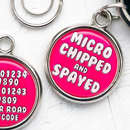 Dog Tags - Microchipped / Neutered