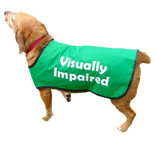 security jacket for dogs
