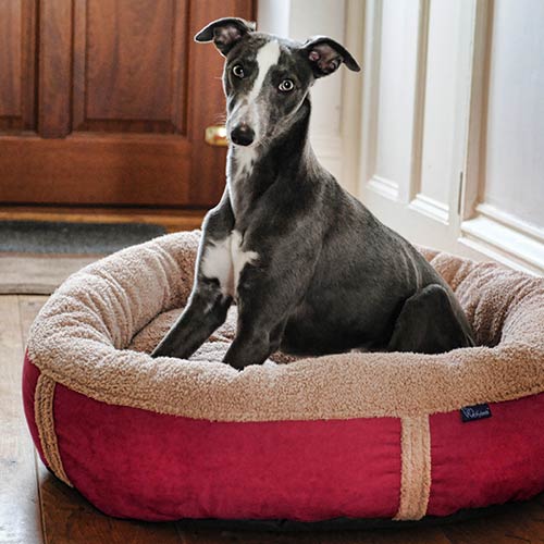Bolster Donut Dog Bed Comfortable Affordable