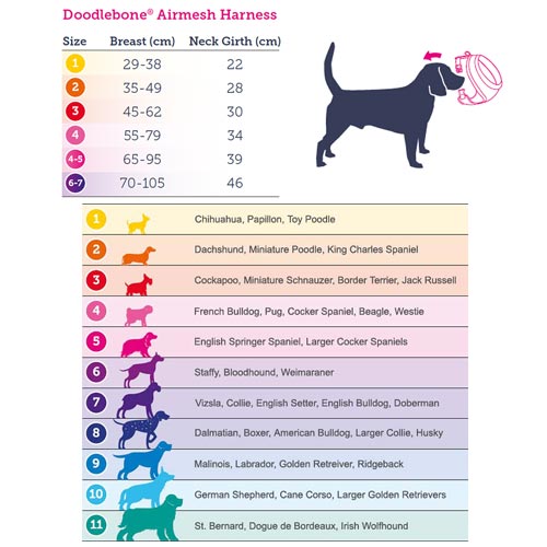 Doodlebone Air Mesh Harness