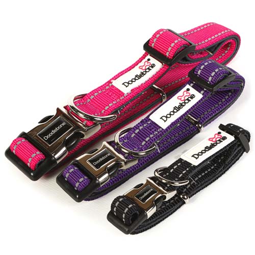 Doodlebone Originals Neoprene Padded Dog Collar D for Dog