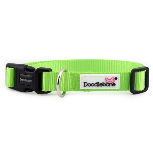 Doodlebone Originals Dog Collars Affordable, Stylish D for Dog