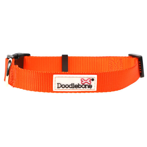 Doodlebone Dog Collar