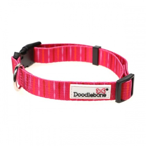 Doodlebone Originals Dog Collars Affordable, Stylish D for Dog