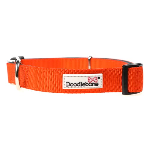 Doodlebone Padded Dog Collar