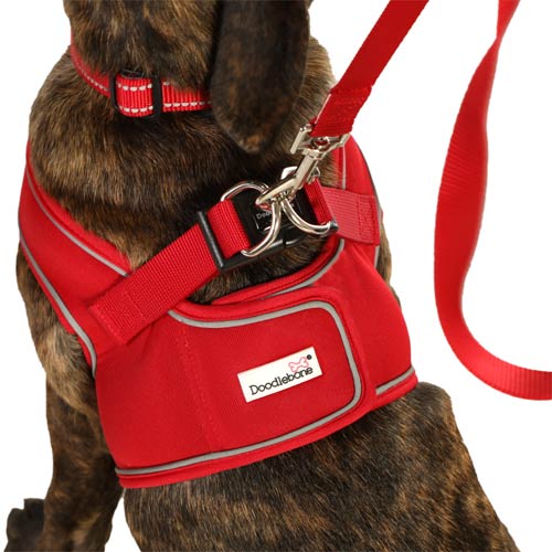 Doodlebone Snappy Dog Harness