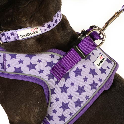 Doodlebone Snappy Dog Harness