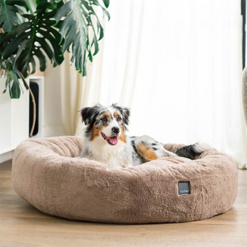 FuzzYard Dreameazzzy Dog Bed