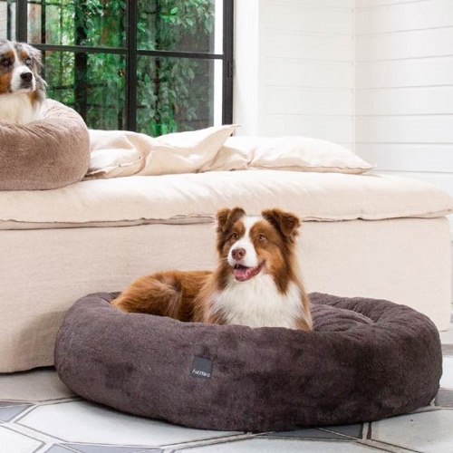 FuzzYard Dreameazzzy Dog Bed