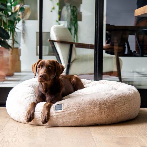 FuzzYard Dreameazzzy Dog Bed