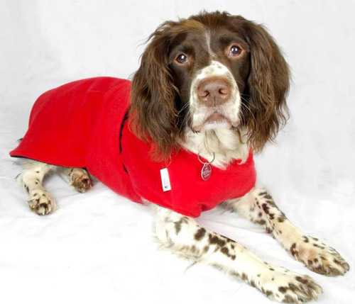 Freckles Dog Drying Coat - Underbelly