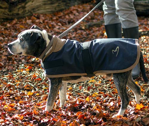 Edinburgh Wax Dog Coat