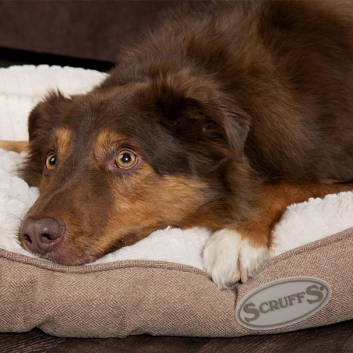 Ellen Faux Fur Mattress Dog Bed