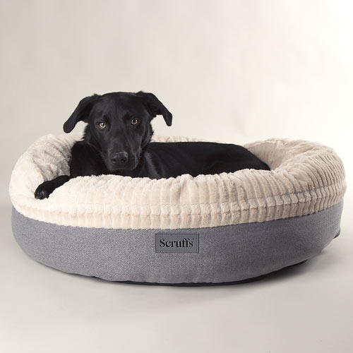 Ellen Grey Donut Dog Bed