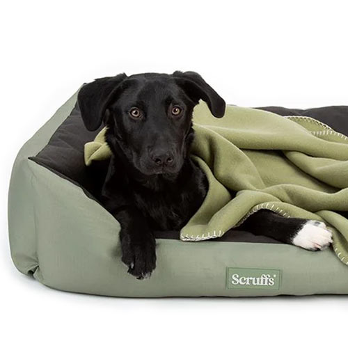 Expedition Water-Resistant Box Bed