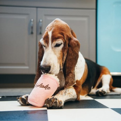 Fast Food Plush Dog Toys