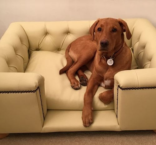Sandringham Champagne Faux Leather Dog Bed