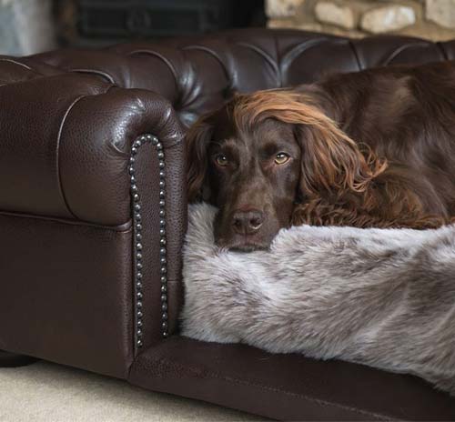 Balmoral Brown Leather Dog Sofa