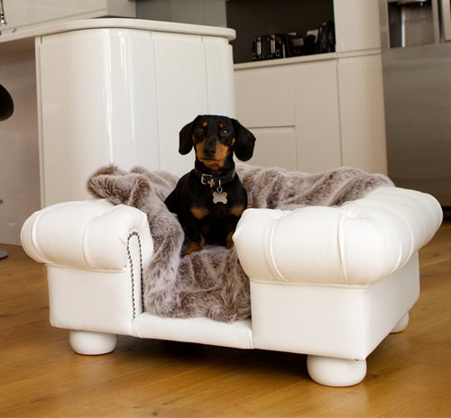 Balmoral White Faux Leather Dog Sofa