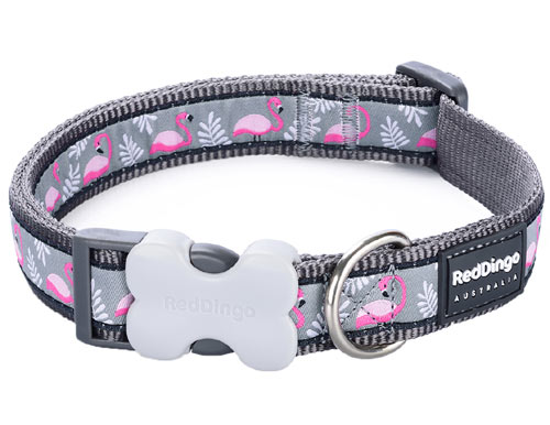 Red Dingo Dog Collar Flamingo