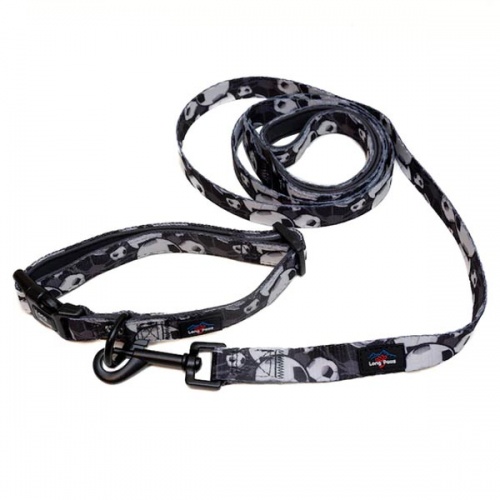 Football Dog Collar & Lead