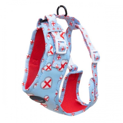 Football Dog Harness