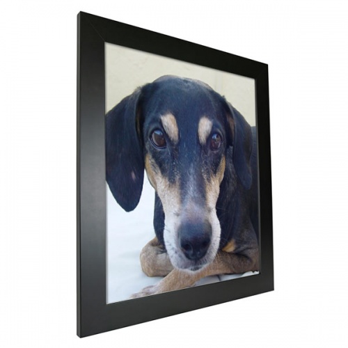 Framed Photo Prints