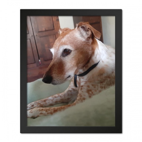 Framed Photo Prints