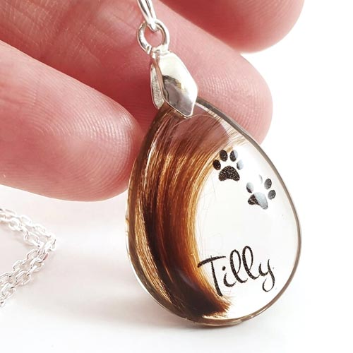 Pet Fur or Ashes Memorial Necklace