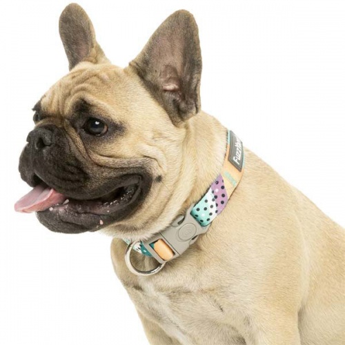 FuzzYard Dog Collar - Footloose
