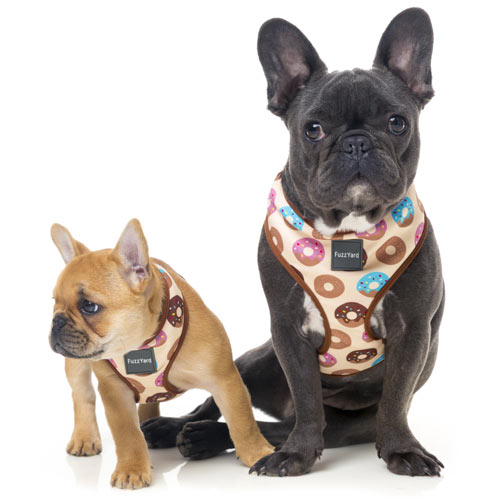 FuzzYard Dog Harness - Go Nuts for Donuts