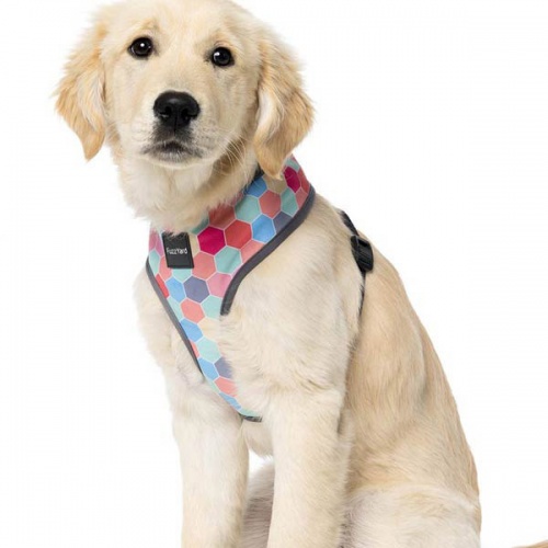 FuzzYard Dog Harness - The Hive