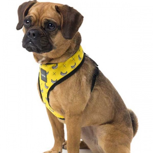 FuzzYard Dog Harness - Monkey Mania