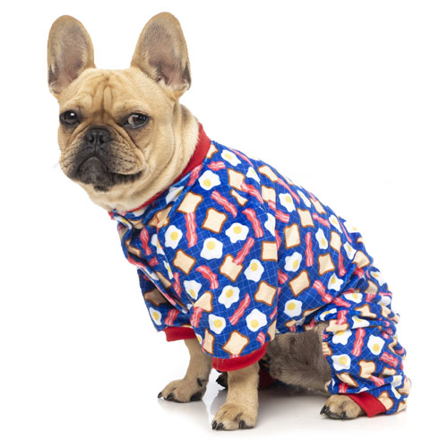 Dogs shop in pyjamas