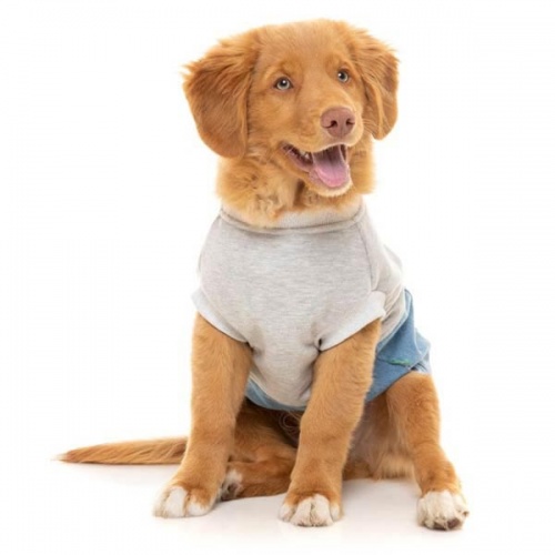 FuzzYard Flynn Dog Sweater