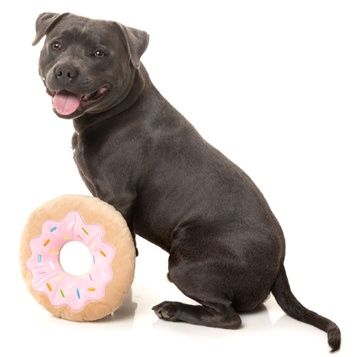 FuzzYard Dog Toy - Giant Donut