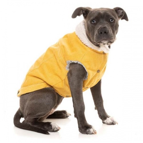 FuzzYard Rebel Mustard Dog Jacket