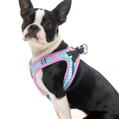 FuzzYard Step-in Dog Harness - Footloose