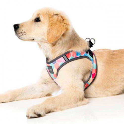 FuzzYard Step-in Dog Harness - The Hive