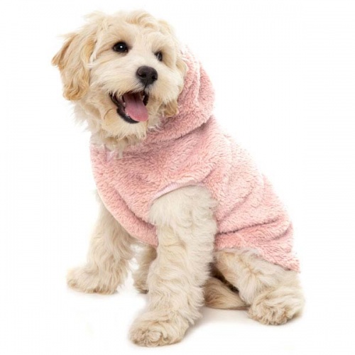 FuzzYard Plush Teddy Dog Hoodie