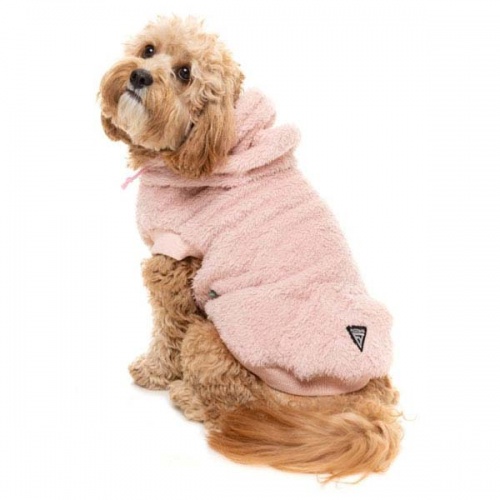 FuzzYard Plush Teddy Dog Hoodie