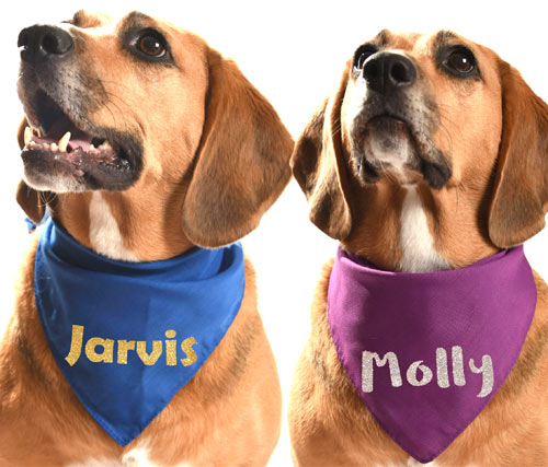 Dazzle Personalised Dog Bandanas