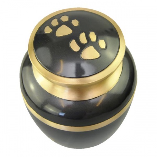 Golden Paw Print Dog Urn