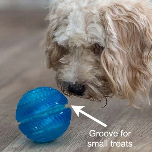 Gor Flex Squeak & Treat Dog Ball