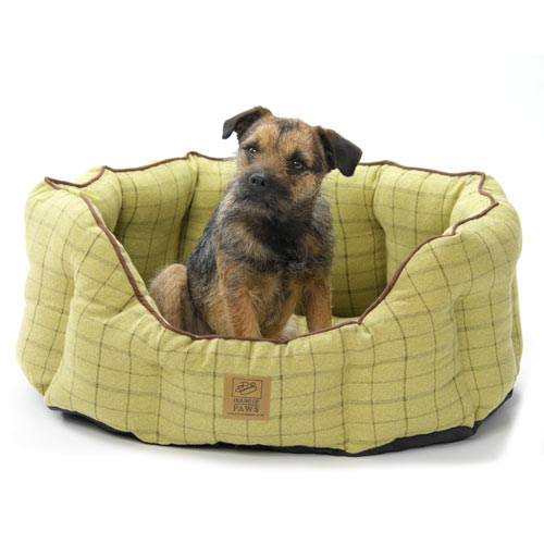 Green Tweed Oval Snuggle Bed