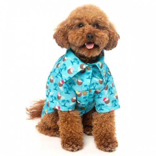 Hawaiian Dog Shirt - Blue Oasis