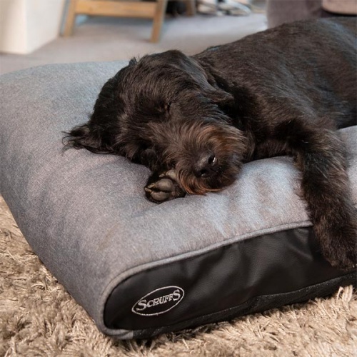 Mattress Dog Beds, Crate Mats & Pads UK D for Dog