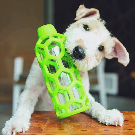 Hol-ee Bottle Dog Toy