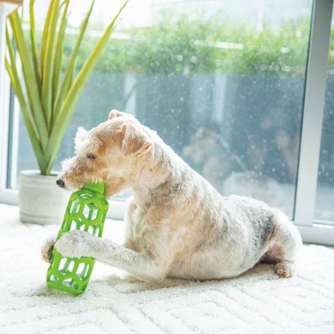 Hol-ee Bottle Dog Toy