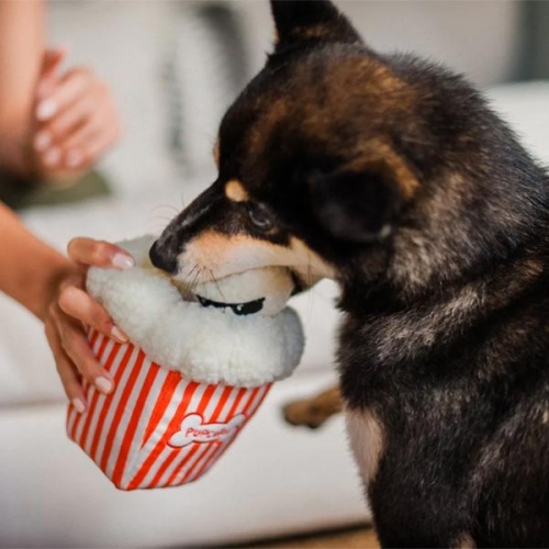 Hollywoof Poppin Pupcorn Dog Toy